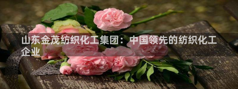 千亿球盟会：山东金茂纺织化工集团：中国领先的纺织化工
企业