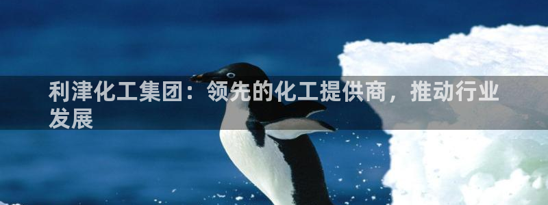 球盟会优惠领取网站：利津化工集团：领先的化工提供商，推动行业