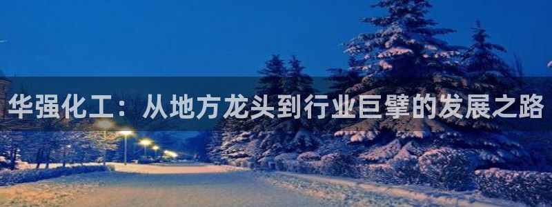 球盟会能提现吗：华强化工：从地方龙头到行业巨擘的发展之路
