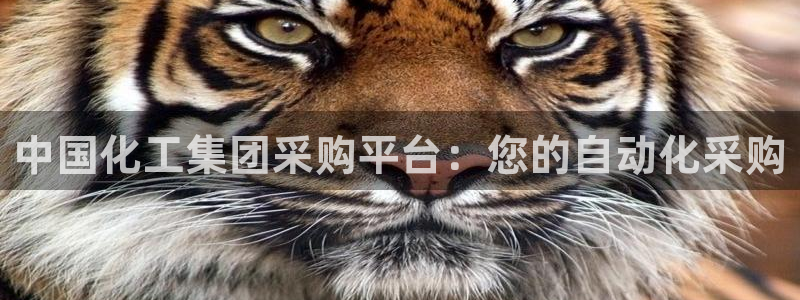 球盟会黑款吗知乎文章：中国化工集团采购平台：您的自动化采购