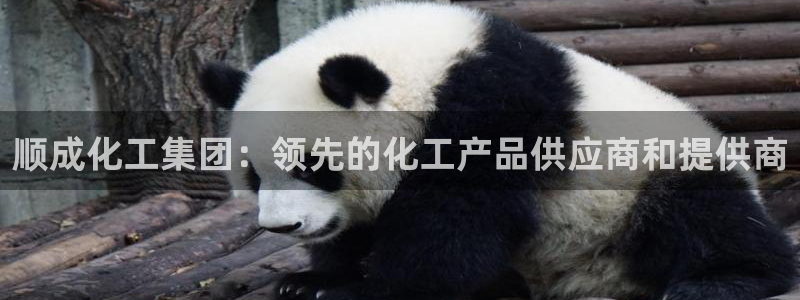 球盟会进不去：顺成化工集团：领先的化工产品供应商和提供商