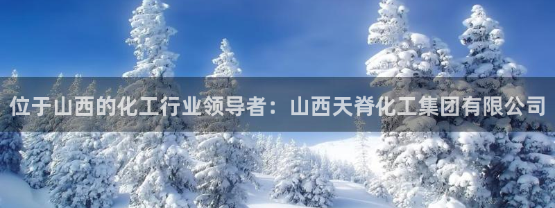 球盟会类似的网站：位于山西的化工行业领导者：山西天脊化工集团