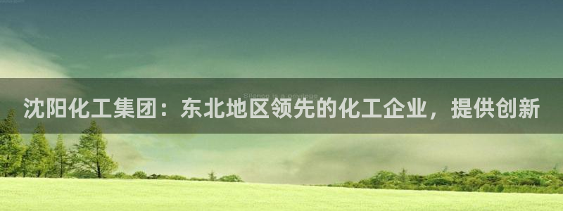 球盟会综合体育平台怎么样：沈阳化工集团：东北地区领先的化工企