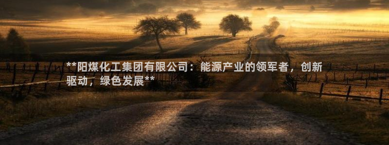 球盟会封号：**阳煤化工集团有限公司：能源产业的领军者，创新