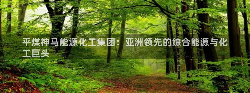 球盟会APP下载：平煤神马能源化工集团：亚洲领先的综合能源与