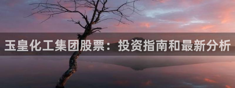 球盟会在线登录：玉皇化工集团股票：投资指南和最新分析
