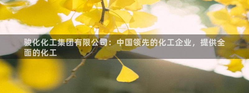 球盟会优惠码：骏化化工集团有限公司：中国领先的化工企业，提供