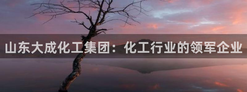球盟会有没有黑单的人：山东大成化工集团：化工行业的领军企业
