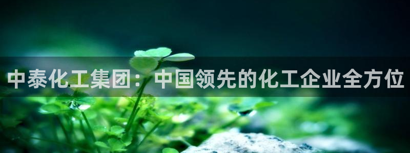 球盟会黑款吗还是白款：中泰化工集团：中国领先的化工企业全方位
