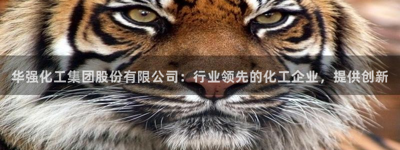 球盟会黑钱：华强化工集团股份有限公司：行业领先的化工企业，提