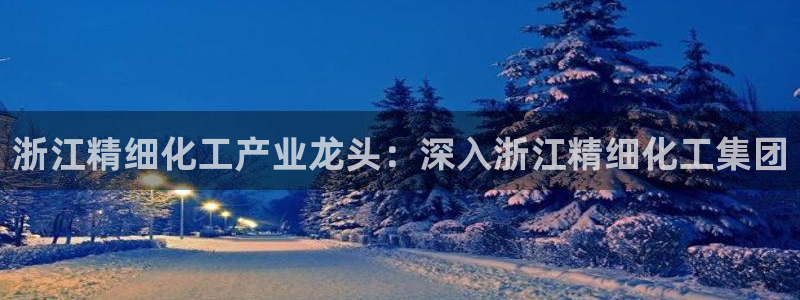 球盟会官方版下载地址：浙江精细化工产业龙头：深入浙江精细化工