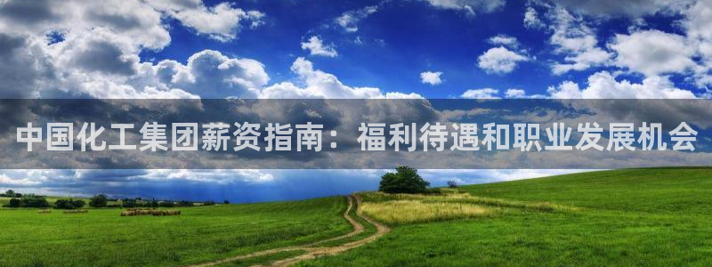 球盟会游戏：中国化工集团薪资指南：福利待遇和职业发展机会