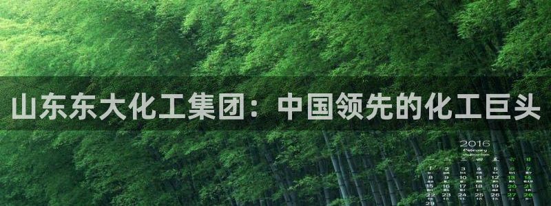 球盟会电子：山东东大化工集团：中国领先的化工巨头