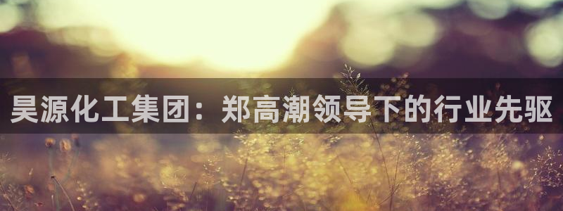 球盟会地址：昊源化工集团：郑高潮领导下的行业先驱
