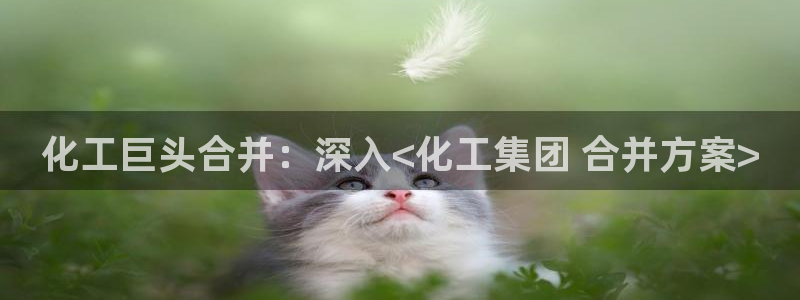 球盟会官方网站：化工巨头合并：深入<化工集团 合并方案>