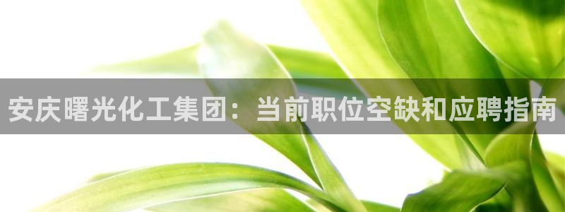 球盟会：安庆曙光化工集团：当前职位空缺和应聘指南