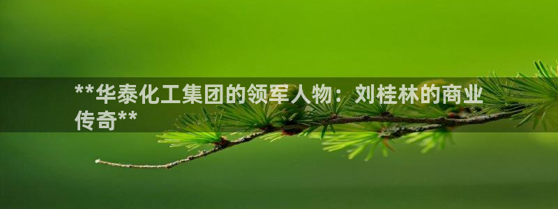 球盟会官方网站是什么：**华泰化工集团的领军人物：刘桂林的商