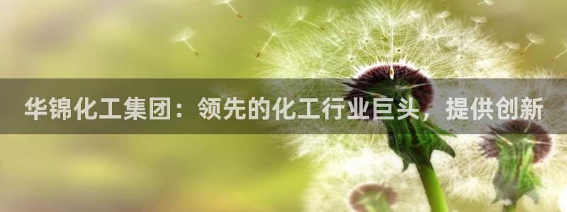 球盟会有限公司怎么样：华锦化工集团：领先的化工行业巨头，提供