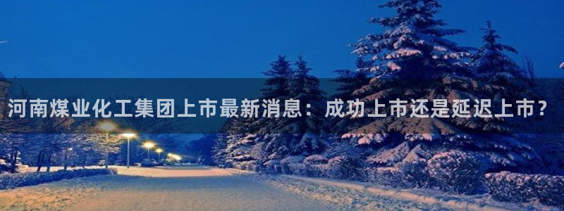 球盟会手机网页版：河南煤业化工集团上市最新消息：成功上市还是