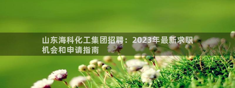 球盟会能提现吗：山东海科化工集团招聘：2023年最新求职
机