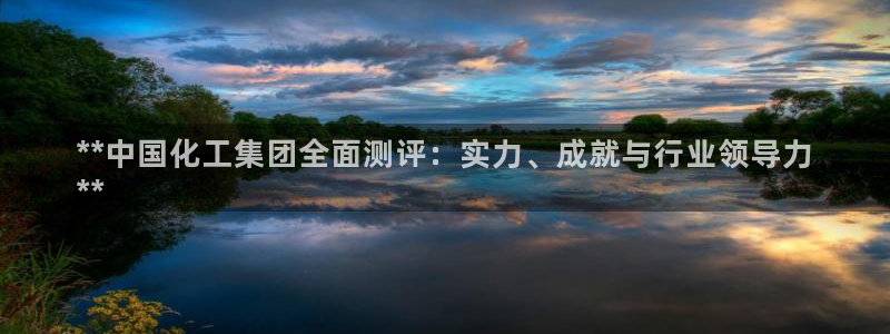 球盟会登录网址：**中国化工集团全面测评：实力、成就与行业领
