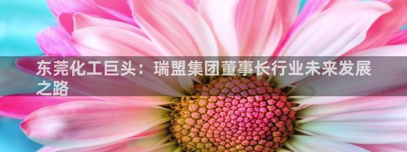 球盟会在线登入：东莞化工巨头：瑞盟集团董事长行业未来发展
之