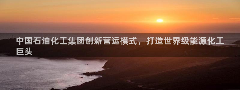 球盟会论坛：中国石油化工集团创新营运模式，打造世界级能源化工
