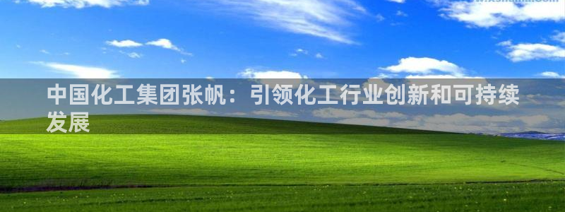 球盟会综合体育平台怎么样：中国化工集团张帆：引领化工行业创新