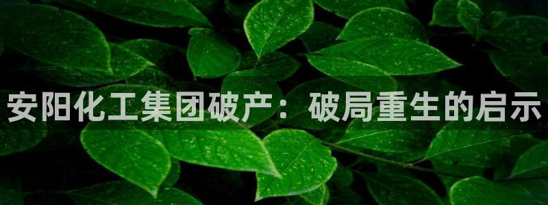 球盟会官方最新入口：安阳化工集团破产：破局重生的启示