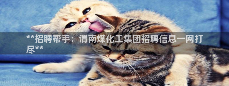 球盟会邮箱：**招聘帮手：渭南煤化工集团招聘信息一网打
尽*
