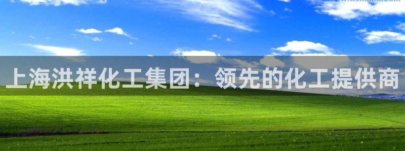 球盟会app：上海洪祥化工集团：领先的化工提供商