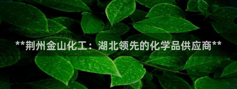 球盟会官方客服：**荆州金山化工：湖北领先的化学品供应商**
