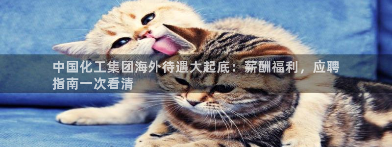 球盟会qmh - 球盟会官方网站：中国化工集团海外待遇大起底