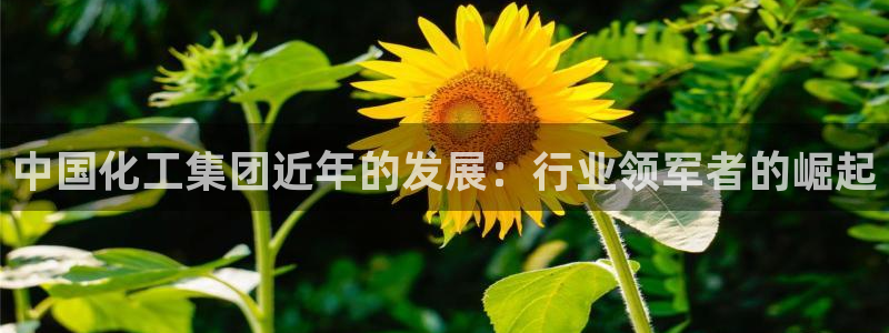 球盟会最新活动：中国化工集团近年的发展：行业领军者的崛起