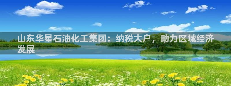 球盟会网页版：山东华星石油化工集团：纳税大户，助力区域经济
