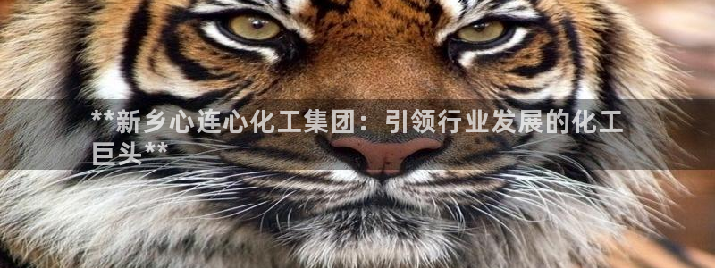 球盟会乐虎