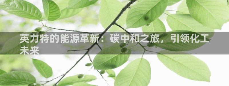 球盟会官方网站入口：英力特的能源革新：碳中和之旅，引领化工
