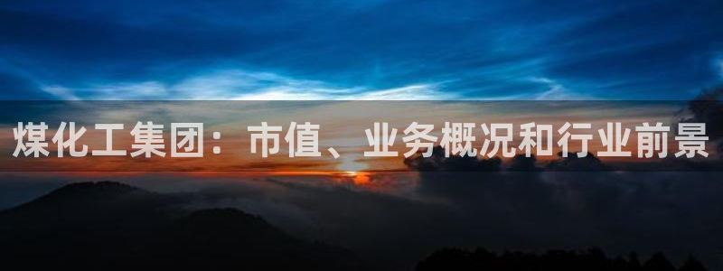 球盟会网址多少：煤化工集团：市值、业务概况和行业前景