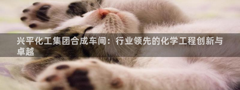 球盟会qmh登录地址：兴平化工集团合成车间：行业领先的化学工