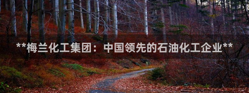 球盟会体育app官方网站：**梅兰化工集团：中国领先的石油化