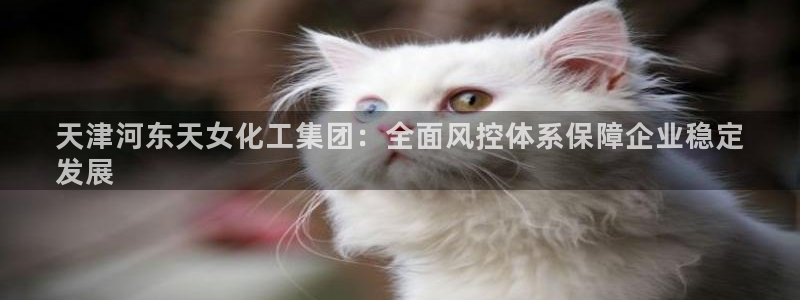 球盟会黑款吗知乎：天津河东天女化工集团：全面风控体系保障企业