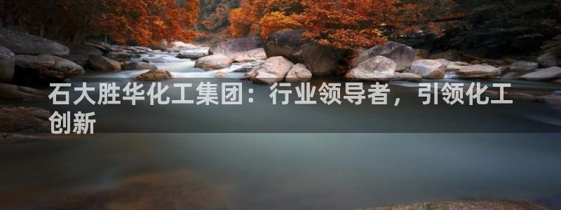 球盟会网页登录入口：石大胜华化工集团：行业领导者，引领化工
