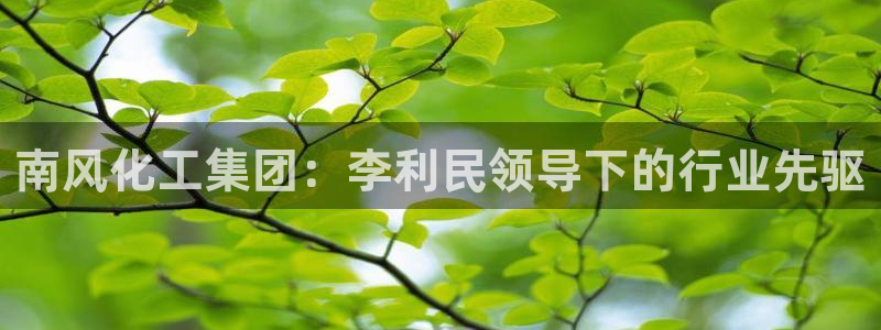 球盟会优惠券：南风化工集团：李利民领导下的行业先驱