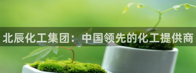 球盟会有没有黑单的球员：北辰化工集团：中国领先的化工提供商