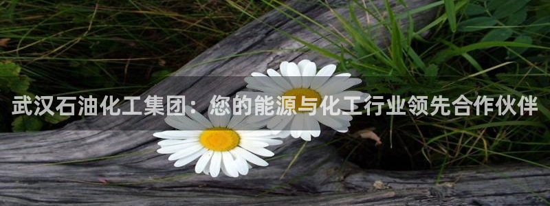 球盟会app安装：武汉石油化工集团：您的能源与化工行业领先合