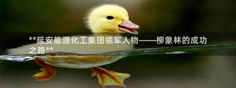 球盟会登录平台：**延安能源化工集团领军人物——柳象林的成功