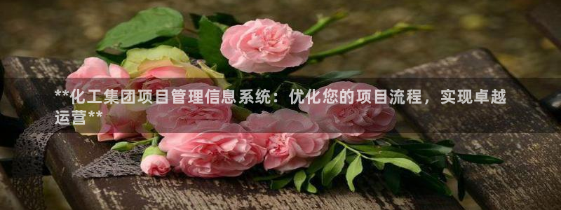 球盟会在线网站：**化工集团项目管理信息系统：优化您的项目流