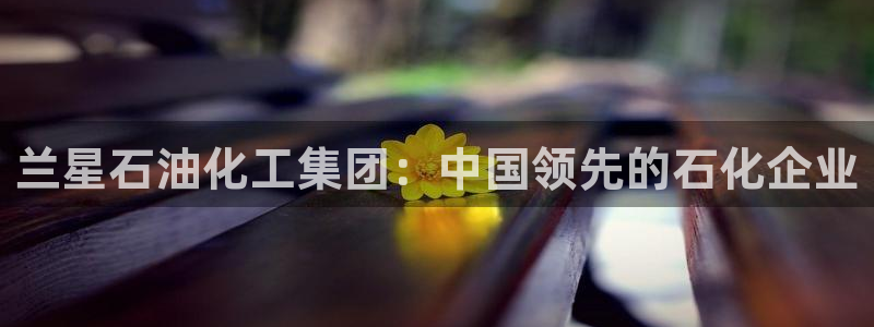 球盟会qmh电子网页版登录：兰星石油化工集团：中国领先的石化
