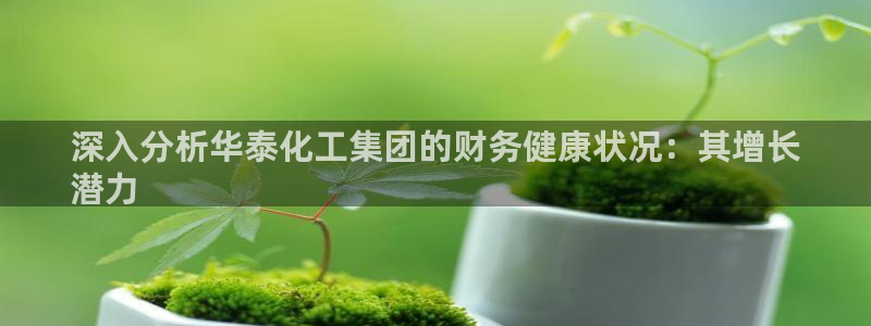 球盟会登录平台入口：深入分析华泰化工集团的财务健康状况：其增