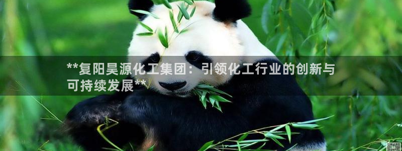 球盟会黑台：**复阳昊源化工集团：引领化工行业的创新与
可持